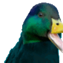 Rare Duck emoji