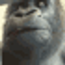 Monkewait Gorilla Eating Meme25 emoji