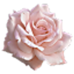 Rose Light Pink emoji