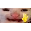Hii emoji