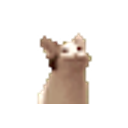 Cat Pakupaku emoji
