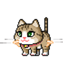 Trippy Kitty emoji