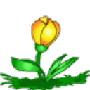 Flower Present emoji