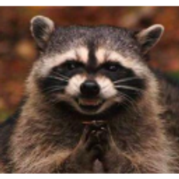 Evil Raccoon emoji