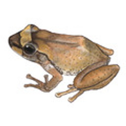 Coqui emoji