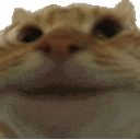 Cat Nodding emoji