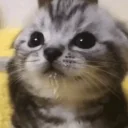 Less emoji