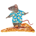 Rat Pizza Surfing emoji