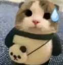 Oopsie emoji