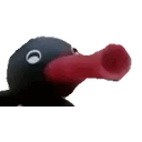 Nootnoot emoji