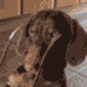 Lookingdoggo emoji
