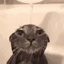 Shower emoji