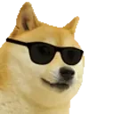 Kooldoge emoji