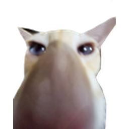Catsnoot emoji