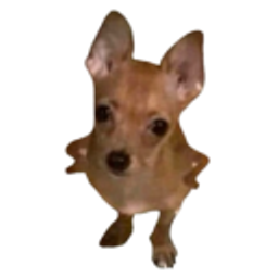 Sassy Chihuahua emoji