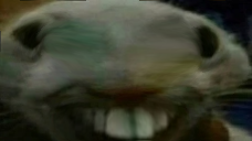 Xpp emoji