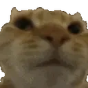 Catno emoji