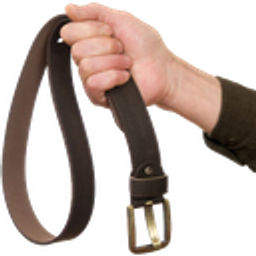 Belt0 emoji