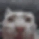 Seriouslyicanttakeitanymoreiamgoinginsane emoji