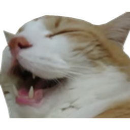Cat Laugh Mouth Open emoji