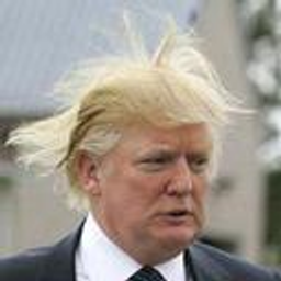 Trump Hair emoji