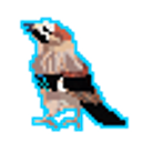 Eurasian Jay emoji