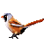 Bearded Reedling emoji
