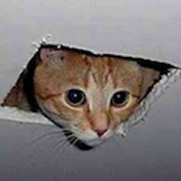 Ceilingcat emoji