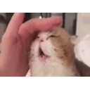 Headmassage emoji