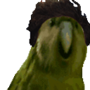 Rare Poof emoji