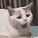 Cat Yawing emoji