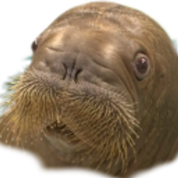 The Walrus emoji