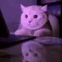 Watchingstreambutigetscared emoji