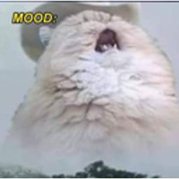 Mood2cat emoji