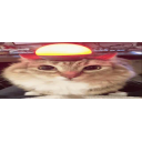 Alertthecatstartsitsengine emoji