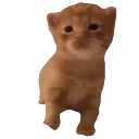 Robertjam emoji