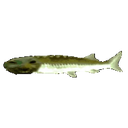 Joeldd emoji