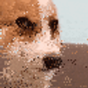 Corgihappy emoji