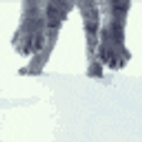 Kitty Snow Jump emoji
