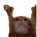 Praisecat emoji