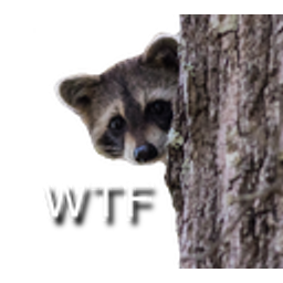 Raccoonwtf emoji