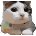Animatedcatno01 emoji