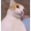 Icanttakeitanymore emoji