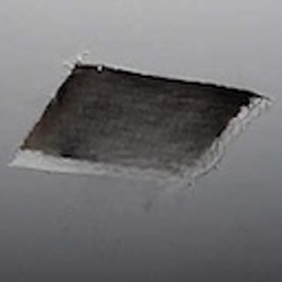 Ceiling Cat Out emoji