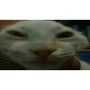 Mewdd emoji