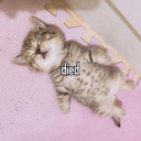 Doid emoji