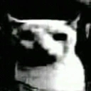 Doomedcat emoji