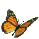 Monarch GIF emoji