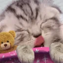 Snore emoji