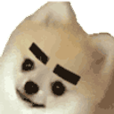 Eyebrows emoji